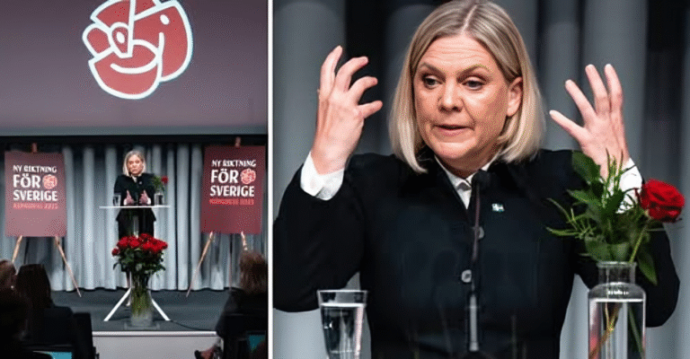 Magdalena Andersson: Patriotismen tillbaka i socialdemokratin