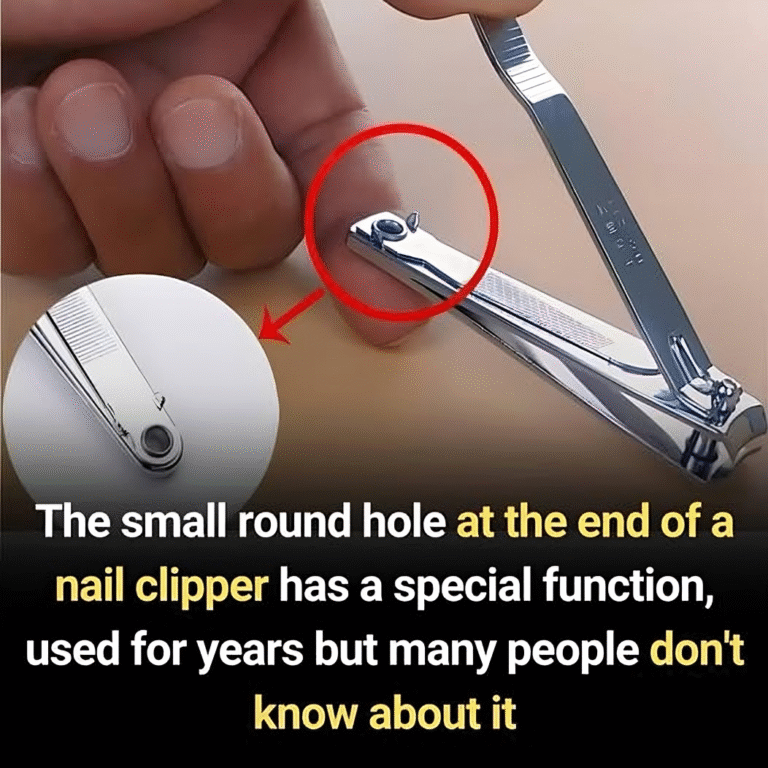 The “small round hole” on the nail clipper has special and powerful uses