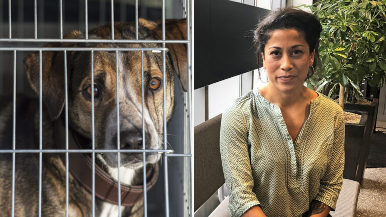 Experten varnar: Då är det olagligt att ha hunden i bur