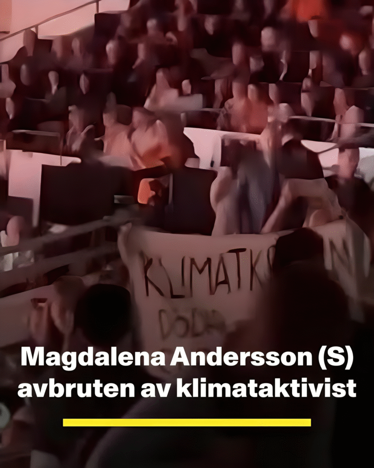 Magdalena Andersson (S) avbruten av klimataktivist