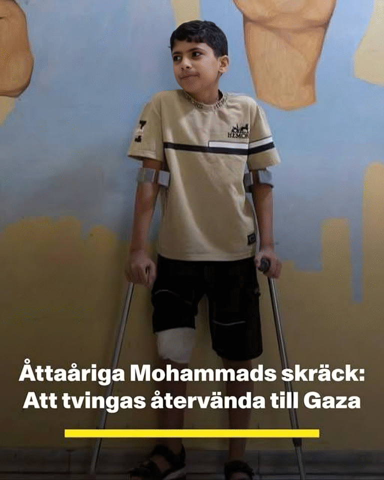 Åttaåriga Mohammads skräck: Att tvingas återvända till Gaza