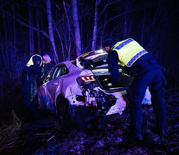 EN DEL BORDE SKÄMMAS!