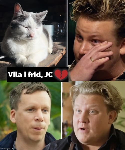TV Profile Karl Fredrik Gustafsson Mourns Beloved Cat JC Together with Husband Petter Kjellén