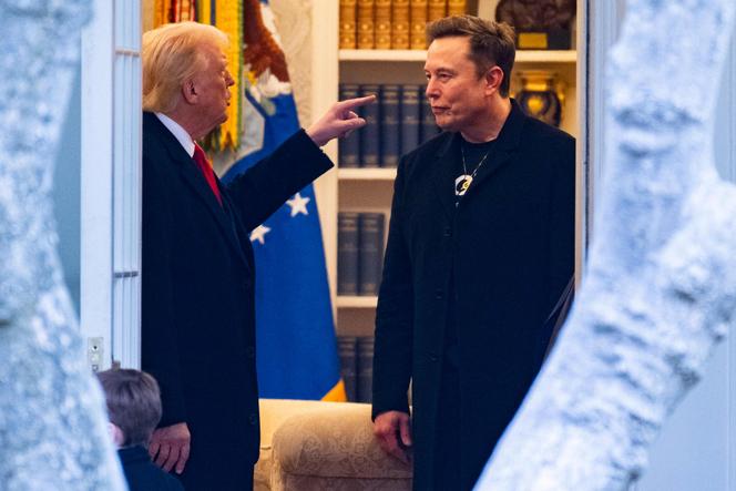 Trumptoppens krav: Utvisa Musk omedelbart