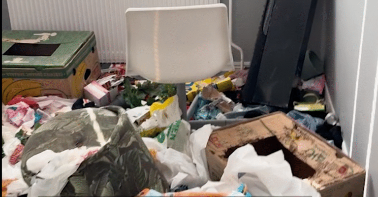 Lämnade Amirs lägenhet med 15 katter och sopkaos: ”Svårt att skydda sig från