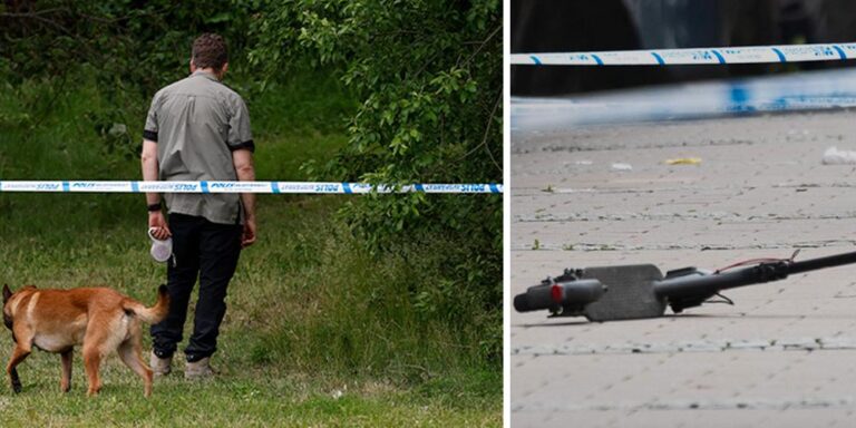 Uppgifter: Ramlade och bad om hjälp – sen blev flickan våldtagen