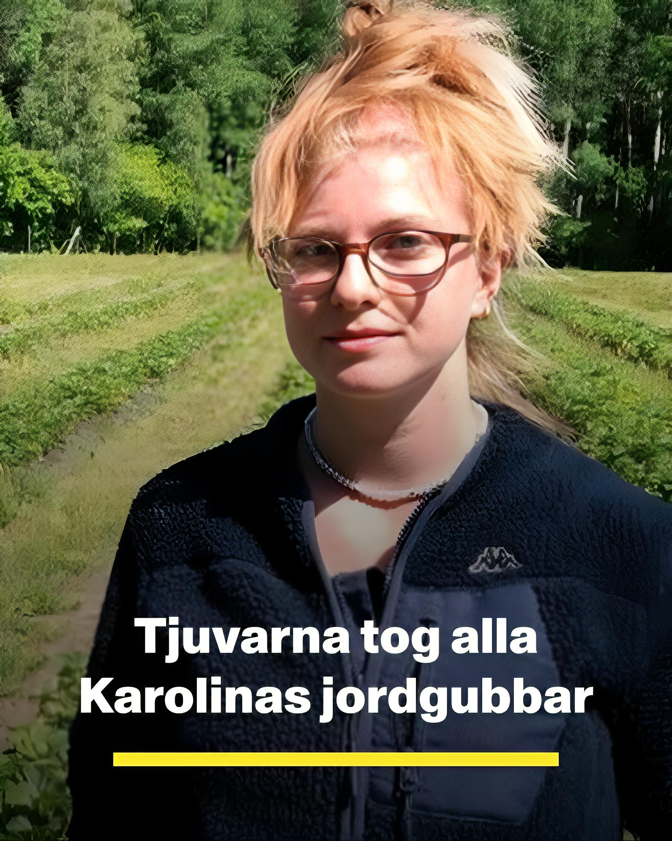 Tjuvarna tog alla Karolinas jordgubbar: ”Jag blev förbannad”