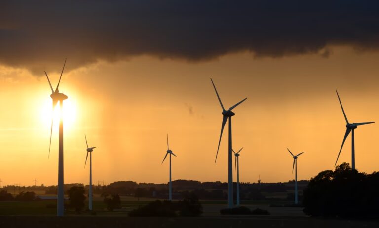 MP-kommunerna som säger nej till vindkraft: ”Har fyllt kvoten”