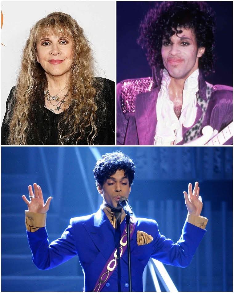 “You Never Bring Me You”: The Prince Remark That Haunts Stevie Nicks—and Inspired Her Most Personal Song Yet