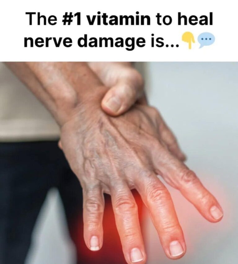 Nine Essential Nutrients That May Support Nerve Damage Recovery: A Science-Based Approach to Neuropathy Management