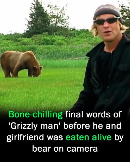 Final words of ‘Grizzly man’ before he was eaten alive