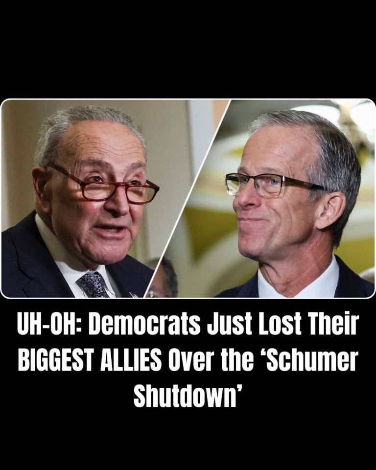Democrats Are Being Crushed By Their Own Media Allies Over ‘Schumer Shutdown’