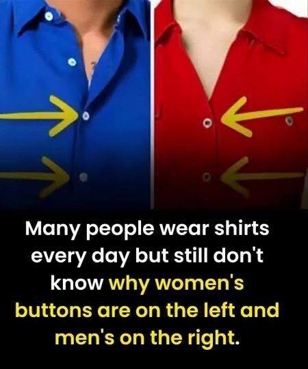 Why Are Women’s Buttons on the Left? The Fascinating Story Behind a Small Detail