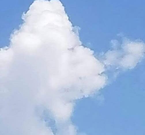 What Do You See! A Fish or a Plane? The Left-Brain vs Right-Brain Debate