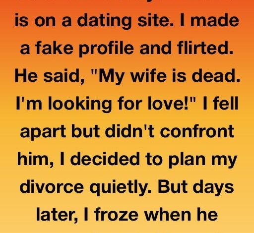 A Secret Profile, a Silent Plan, and a New Beginning!