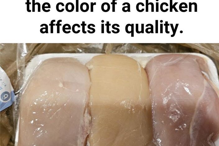 What Makes Yellow Chicken Different from White Chicken?