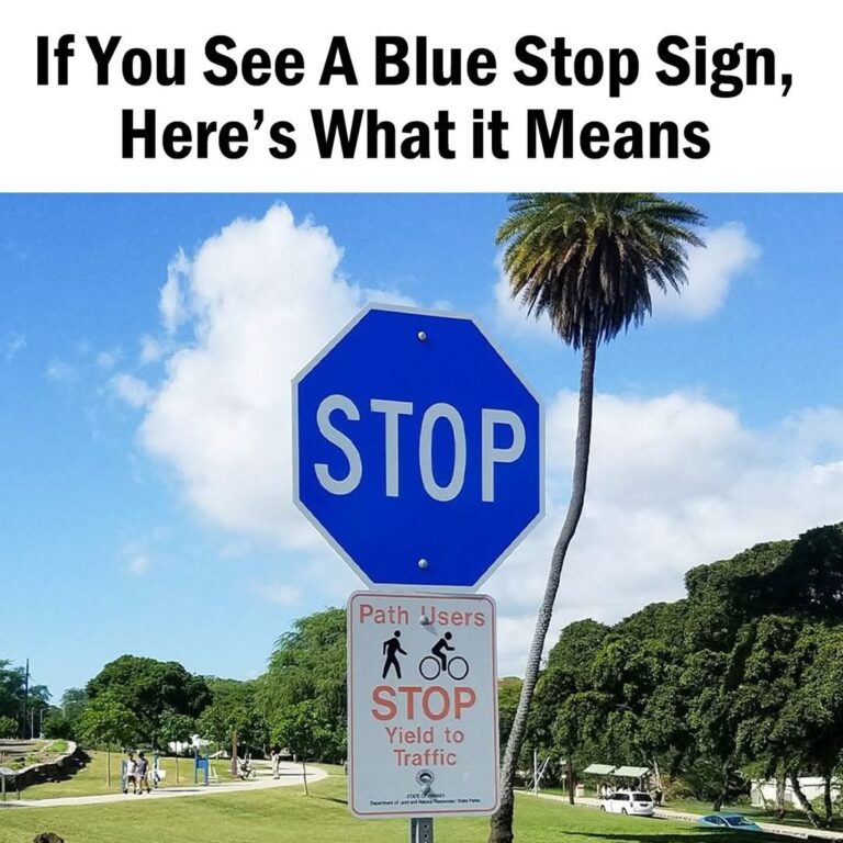 The Mystery of the Blue Stop Sign