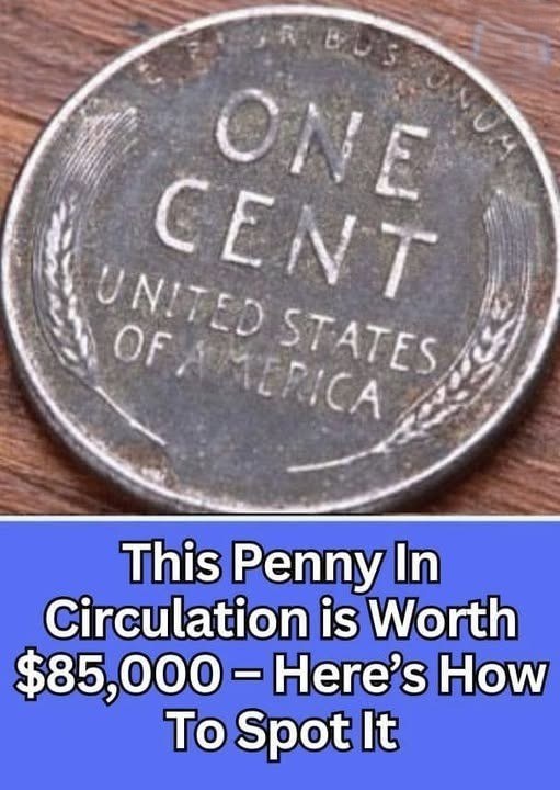 Here is How To Spot It, This Penny In Circulation is Worth $85,000