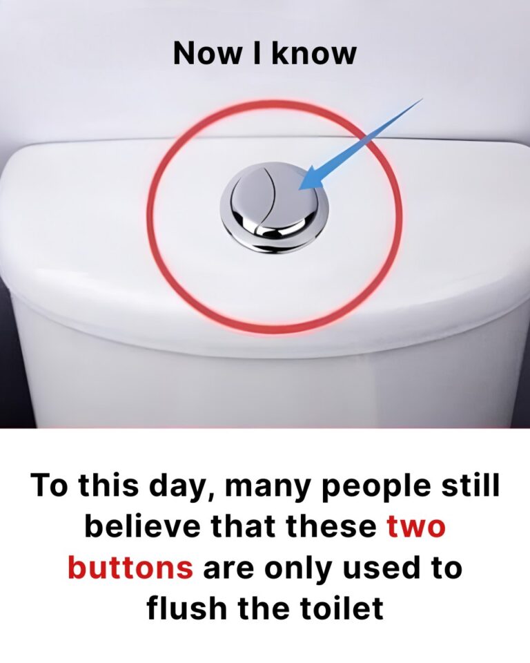 Many people think that these two buttons are only used to flush the toilet