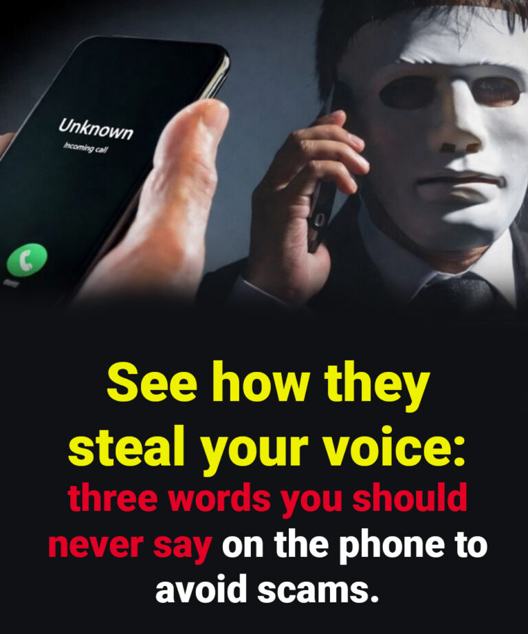 See how they steal your voice: three words you should never say on the phone to avoid scams.