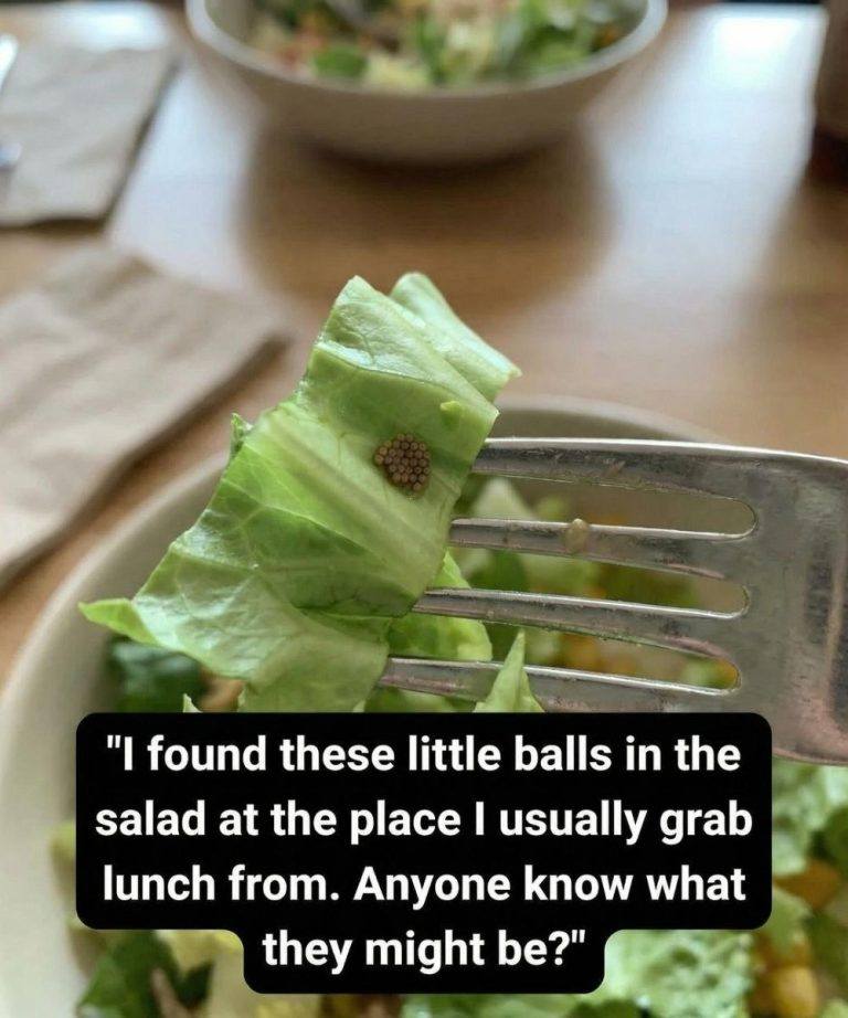 I Almost Ate This Until I Looked Closer — A Reminder to Always Check Your Food