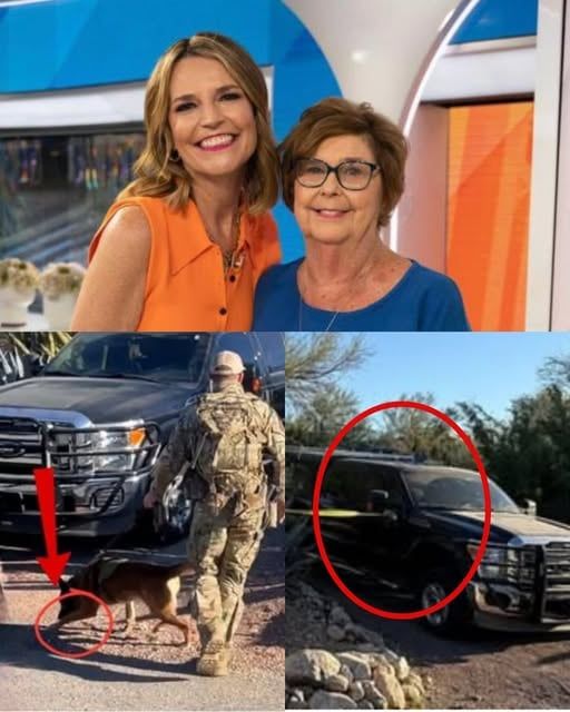 A sniffer dog has just detected a strange smell coming from the bathroom at Savannah Guthrie’s mother’s house