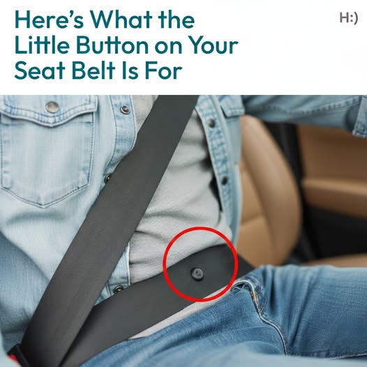 Do You Know What That Little Button on Your Seat Belt Is For?