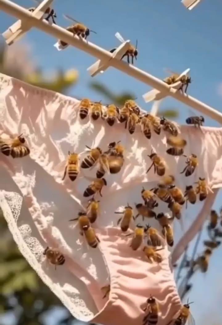 Reasons Bees Are Lured to Outdoor L