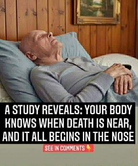 A research reveals your body knows when death is near, and it all starts in the nose