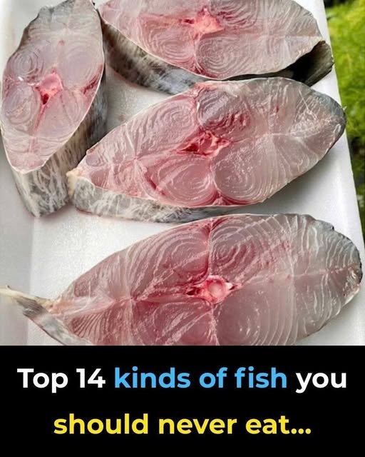 14 Fish You Should Consider Never Eating