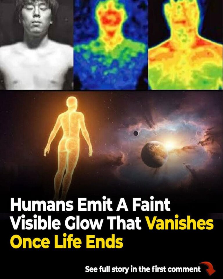 Your Body Gives Off a Glow That Fades When You Die, According to New Research