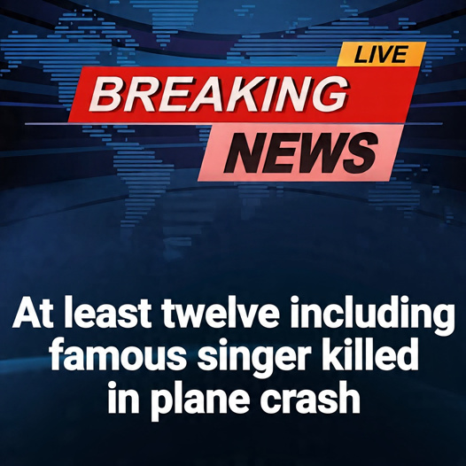 Island Plane Crash Under Investigation—What We Know So Far