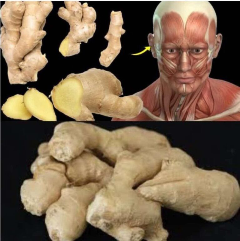 Surprising Health Benefits of Eating Ginger Every Day