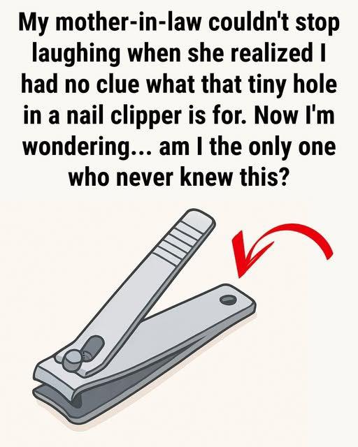 The Ingenious Design Secret Behind The Tiny Hole In Your Nail Clippers That You Have Been Ignoring For Decades