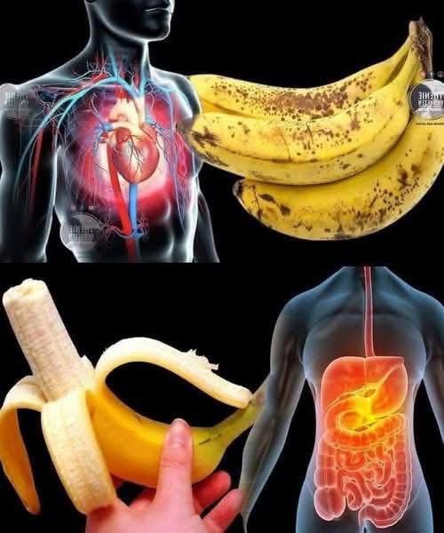 What Bananas Really Do for Your Body — And the Myths to Ignore