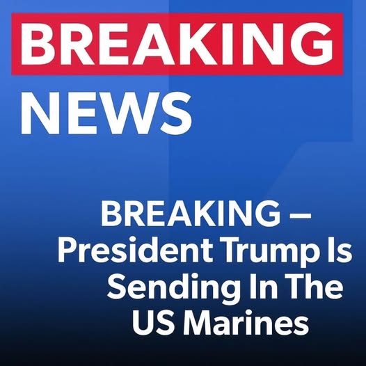 TRUMP DEPLOYS UNITED STATES MARINES TO THE BORDER AND THE SHOCKING IMPLICATIONS FOR THE FUTURE OF DOMESTIC POWER