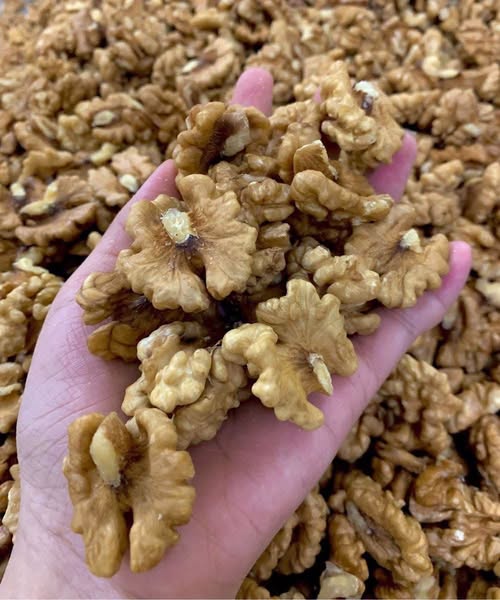 Doctors reveal that eating walnuts causes – Welcome
