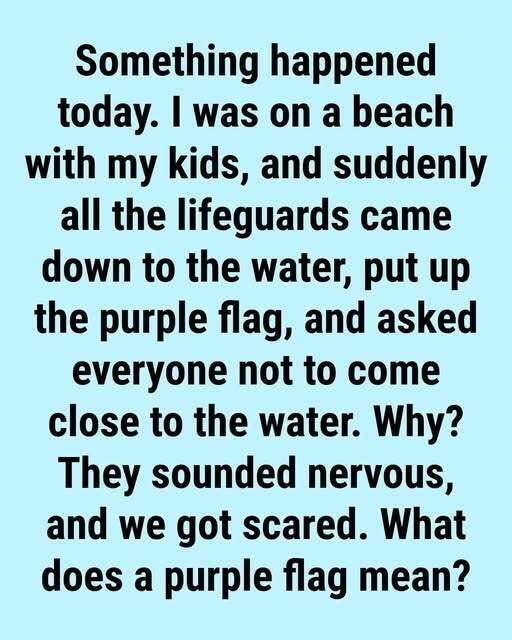 Why You Might See a Purple Flag Flying at the Beach (Complete Guide to Beach Safety and Marine Life Warnings) – Pulse Of The Blogosphere