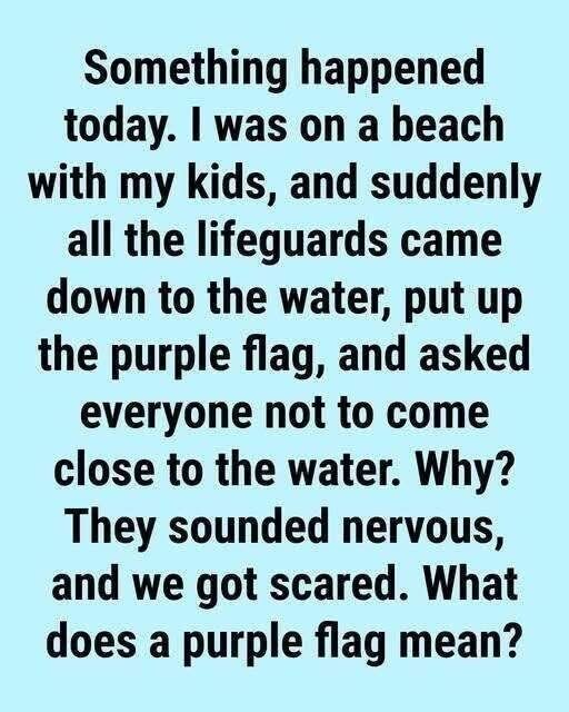 What a Purple Beach Flag Really Means—and Why You Should Never Ignore It
