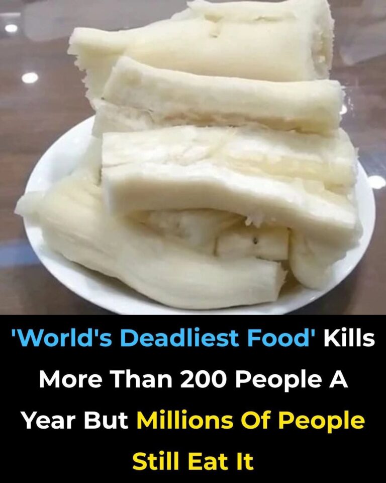 The Deadliest Food on Earth: Why Millions Risk Death Every Single Day