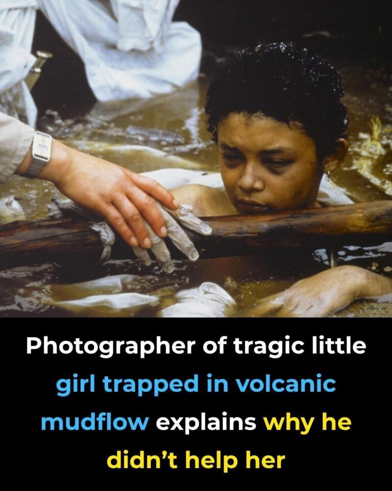 The Girl in the Mud: The Heart-Wrenching Truth Behind the World’s Most Controversial Photograph