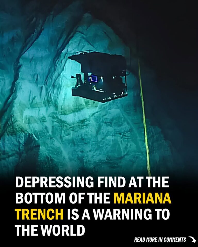 The Abyss Strikes Back: Why Humanity’s Filth Is Killing the Deepest Place on Earth
