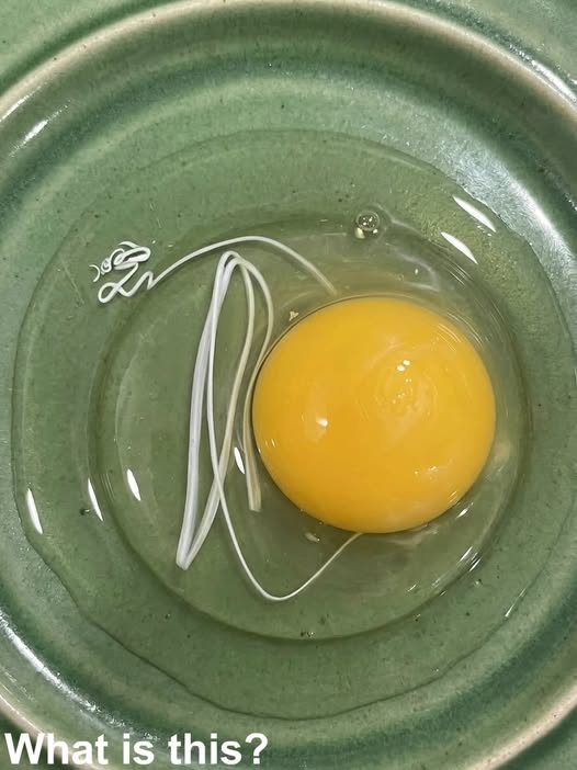 This morning, I woke up and decided to make fried eggs