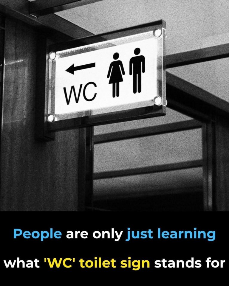 The “WC” Mystery: Why You’ve Been Misunderstanding This Global Bathroom Sign Your Entire Life