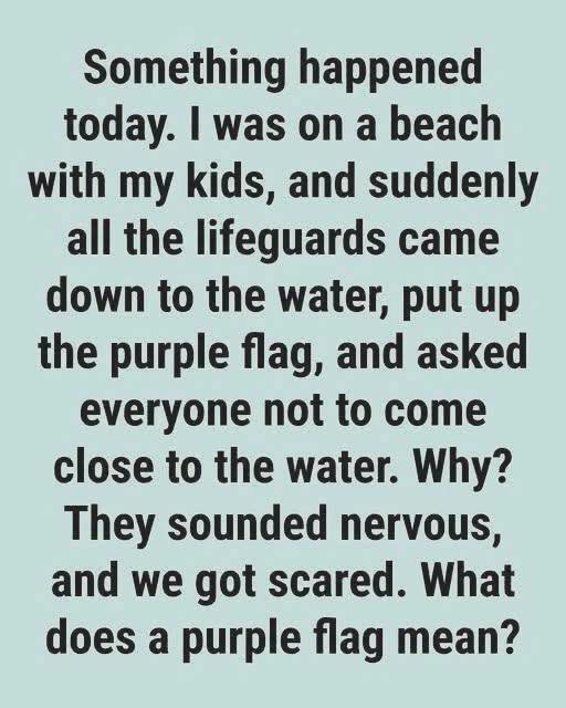 Why You Might See a Purple Flag Flying at the Beach