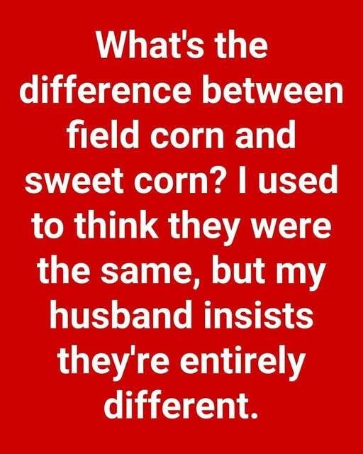 Comparing Field Corn and Sweet Corn
