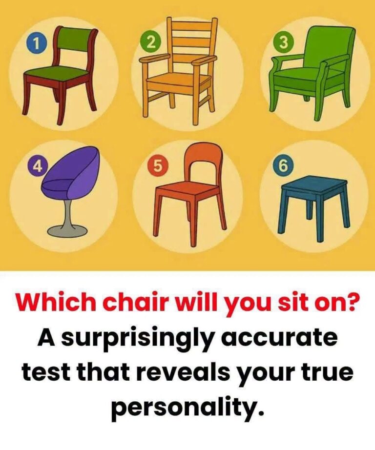Which Chair Would You Choose
