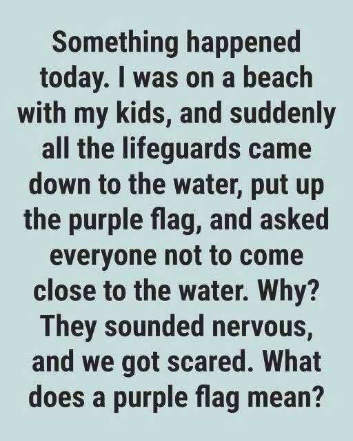 Beach flags serve as an essential guide for ocean safety, each color conveying a specific message…