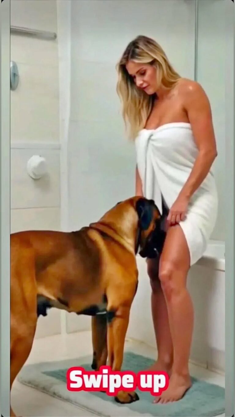 K9 Dog Saves Groom from Deceptive Bridge – Her Hidden Past…