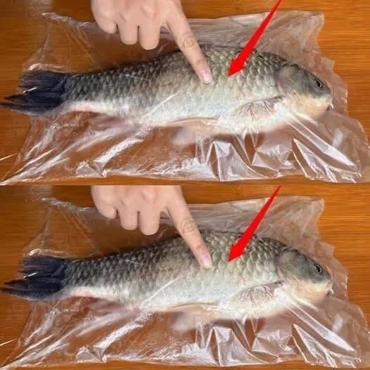 Hate Cleaning Up Fish Scales